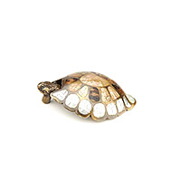 Schaub Nature Turtle Cabinet Pull - Mother of Pearl/Tiger Penshell