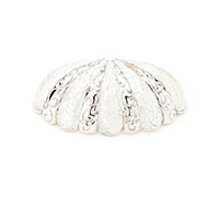 Schaub 3 Inch CC Cup Pull - Mother of Pearl