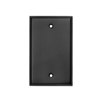 Ageless Iron Blank Wall Plate
